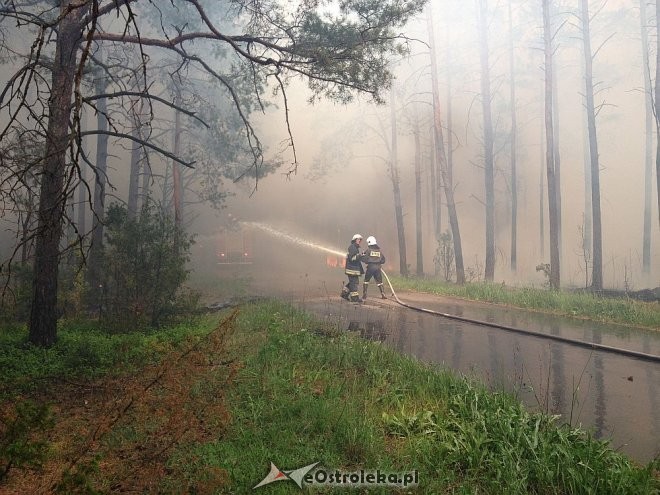 Gigantyczny pożar lasu w gminie Kadzidło, fot. eOstroleka.pl