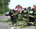 Tyszki Ciągaczki: Strażacy ochotnicy usuwali drzewo powalone na jezdnię
