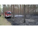 Siarcza Łąka: Spłonęło blisko 1,5 ha poszycia leśnego [ZDJĘCIA]