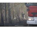 Wólka Błędowska: Spłonęło ponad 30 arów poszycia leśnego