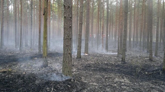 fot. eOstrołęka.pl