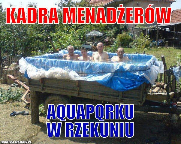 fot. memoleka.pl