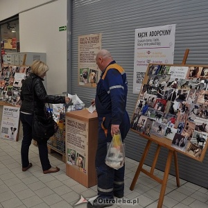 E.Leclerc w Ostrołęce organizuje kolejną zbiórkę karmy dla zwierząt