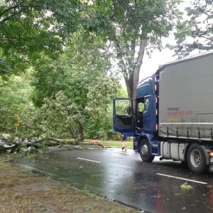 Niedzielna wichura i połamane drzewa: strażacy interweniowali 13 razy