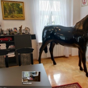 Znany YouTuber o koniu w gabinecie starosty ostrołęckiego: &#8222;Najśmieszniejsza rzecz w dzisiejszym Internecie&#8221;