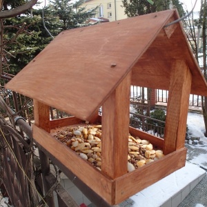 Wychowankowie poprawczaka wybudowali karmniki dla ptaków