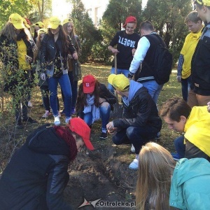 Uczniowie I LO sadzili żonkile w ramach akcji &#8222;Pola Nadziei' [ZDJĘCIA]