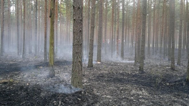 W miejscowości Krobia spłonął wczoraj 1 hektar lasu, fot. eOstrołęka.pl