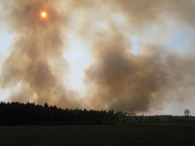 fot. Michał Stępień/Regionalna Dyrekcja lasów Państwowych w Olsztynie