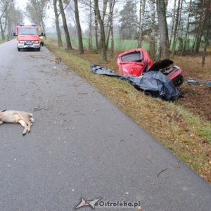 Śmiertelny wypadek w Kuskowie: Nie żyje młody kierowca toyoty