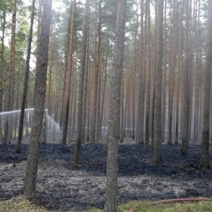 Błędowo: Podpalił las a później obserwował akcję gaśniczą