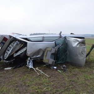 Wypadek w Drążdżewie: Po uderzeniu w drzewo kierowca wypadł z auta [ZDJĘCIA]