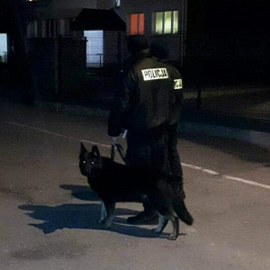 Dodatkowe piesze patrole policji na ulicach Ostrołęki