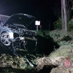 Wypadek w Serafinie. Kierowca z urazem kręgosłupa trafił do szpitala [ZDJĘCIA]