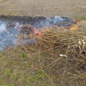 Niedziela w strażackich statystykach: Pożary traw i śmieci