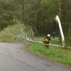 Interwencje strażackie przy usuwaniu drzew z jezdni w Zapiecznym i Zawodziu