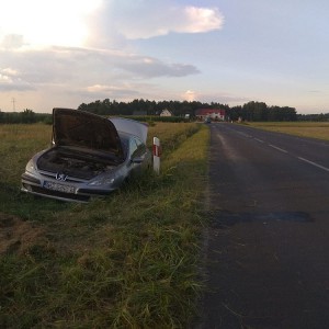 Dotkliwa kara za zbyt szybką jazdę dla młodzieńca w peugeocie [ZDJĘCIA]