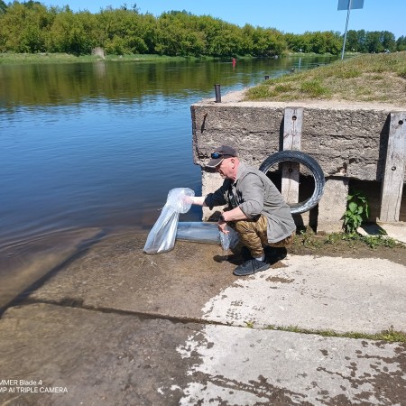 Narew wzbogacona o 100 tysięcy sztuk wylęgu sandacza