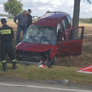 Śmiertelny wypadek w Krzynowłodze Małej. Nie żyje 7 letnie dziecko [ZDJĘCIA]