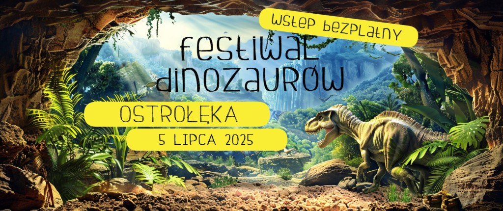 zdjecie
