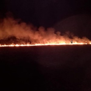 Pożar trawy w Ponikwi Małej. Spłonęło ponad 2 hektary&nbsp;&nbsp;[ZDJĘCIA]