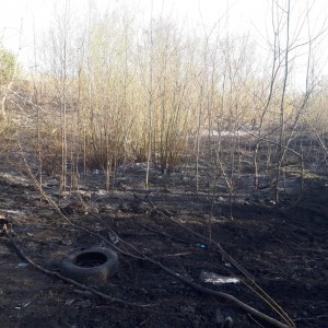 Kłęby dymu nad osiedlem Wojciechowice. Spłonął ponad 1 hektar traw [AKTUALIZACJA, ZDJĘCIA]