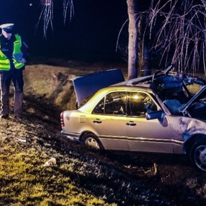 Zderzenie mercedesa z łosiem