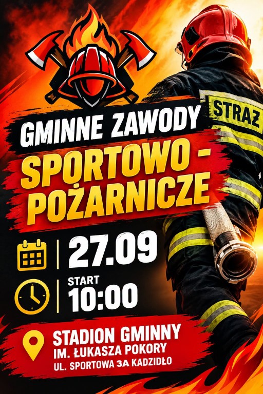 zdjecie
