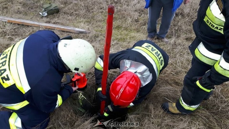 zdjęcie ilustracyjne, fot. eOstrołęka.pl