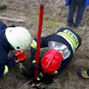 Niecodzienna akcja ratunkowa przy Turskiego [ZDJĘCIA]