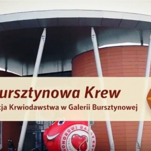 Akcja "Bursztynowa Krew" w Galerii Bursztynowej [RELACJA WIDEO]