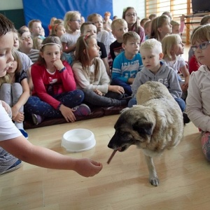 Wolontariusze ze schroniska Canis w Kruszewie z wizytą w Szkole Podstawowej nr 5 [ZDJĘCIA]