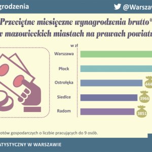 Ostrołęka na mazowieckim podium pod względem zarobków