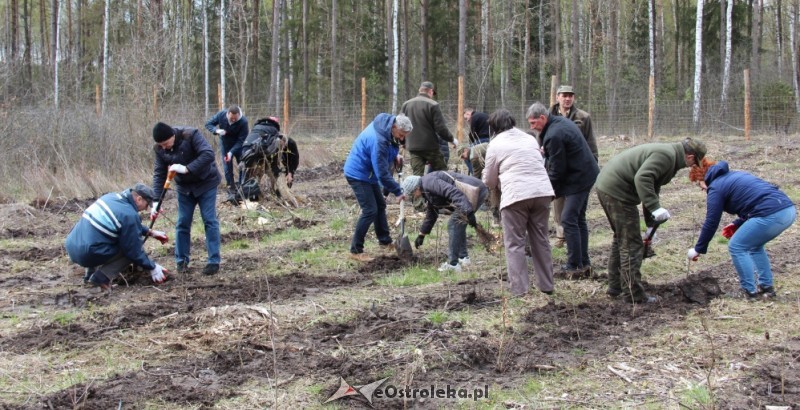 fot. ostroleka.pl