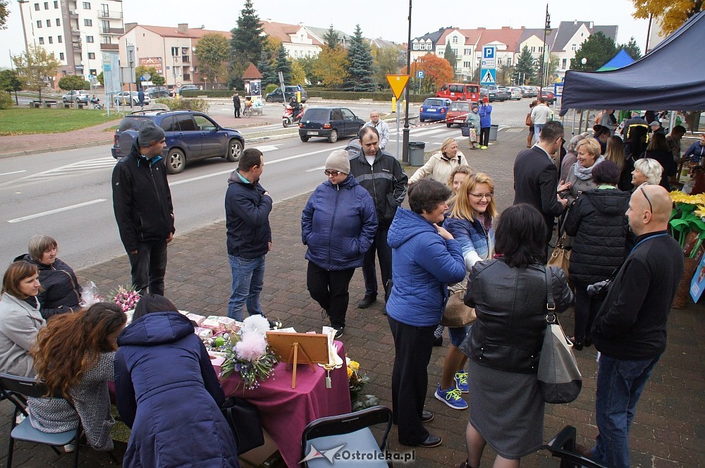 fot. eOstroleka.pl