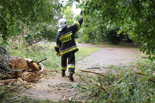 fot. eOstrołęka.pl