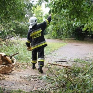 Pracowita sobota ostrołęckich strażaków. Powalone drzewa i zalana ulica