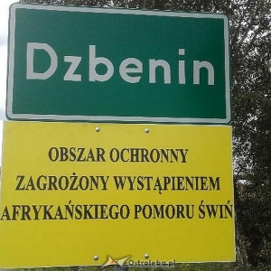 Strefy ochronne zagrożone afrykańskim pomorem świń na terenie powiatu ostrołęckiego