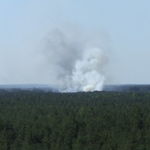 Fotorelacja internauty z wczorajszego pożaru lasu w miejscowości Wach [ZDJĘCIA]