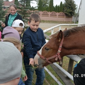 Uczniowie z Gleby na wycieczce w mini zoo [ZDJĘCIA]