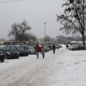 Ostrołęcka Giełda Samochodowa [ZDJĘCIA]