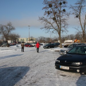 Ostrołęcka Giełda Samochodowa [ZDJĘCIA]