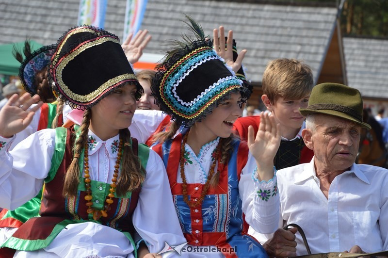 Miodobranie Kurpiowskie, fot. archiwum eOstrołęka.pl