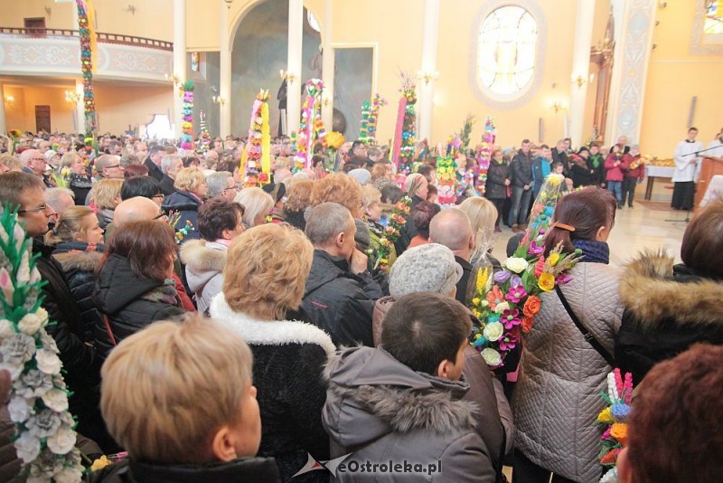 Niedziela Palmowa w Łysych, fot. eOstrołęka.pl