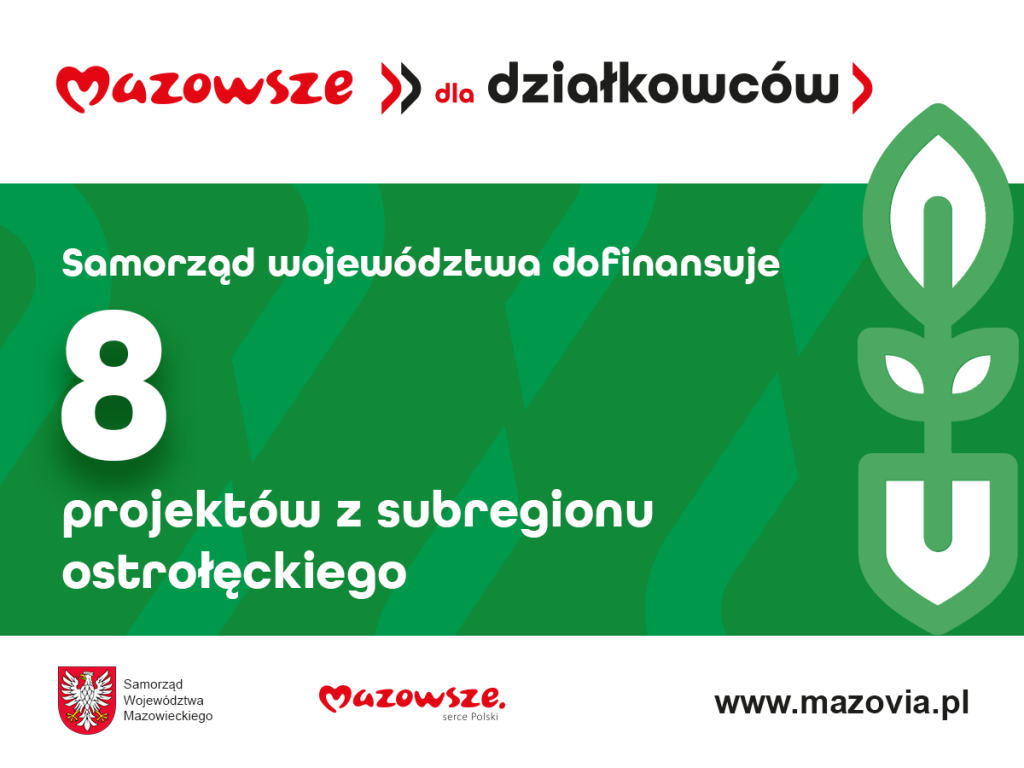 zdjecie