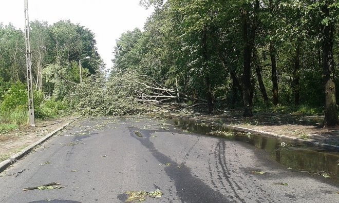 fot. eOstrołęka.pl