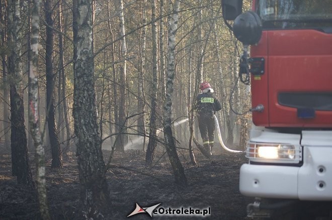 fot. eOstrołęka.pl