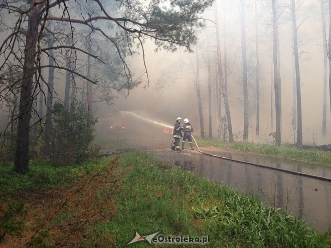 zdjęcie ilustracyjne, fot. eOstroleka.pl