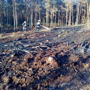 Pożar lasu i ognisko na osiedlu Łęczysk