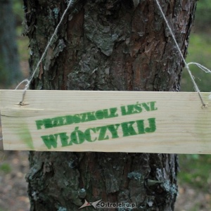 Zapraszamy do projektu „Przedszkole Leśne WŁÓCZYKIJ”